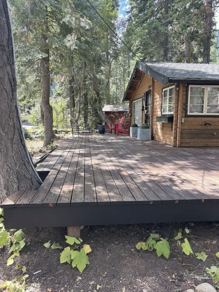 Deck platform among the pines beside a cabin