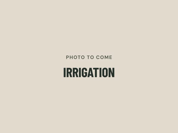 Photo to come: irrigation