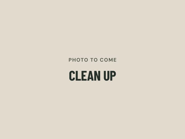 Photo to come: clean up